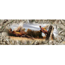 Ringneck Pheasant Tailgate 006